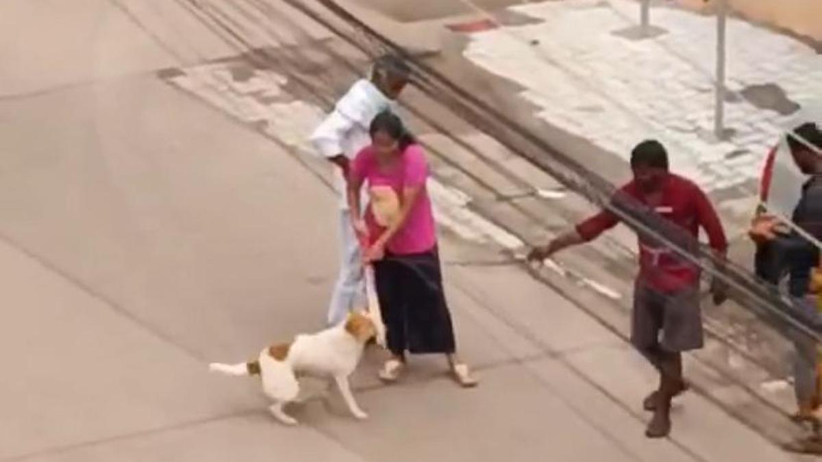 Pet dog handed over to Mangaluru sanitation workers to abandon at garbage processing site, video sparks outrage on social media